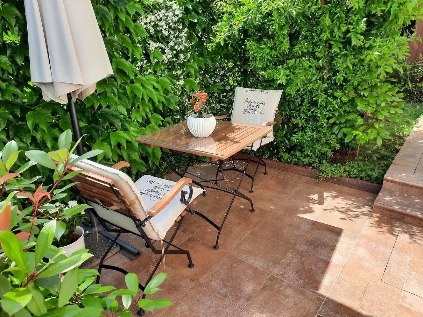 Apartment Feli Rovinj